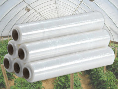 Màng Bọc PE Và PVC Khác Nhau Như Thế Nào? So Sánh Chi Tiết, Ứng Dụng, Tiêu Chuẩn Và Quy Định Xuất Khẩu Màng Bọc PE Và PVC Khác Nhau Như Thế Nào? So Sánh Chi Tiết, Ứng Dụng, Tiêu Chuẩn Và Quy Định Xuất Khẩu