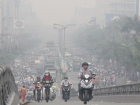 Mút Xốp Có Độc Không? Tác Động Đến Sức Khỏe, Cách Xử Lý, Tái Chế Và Môi Trường Hiện Đại Mút Xốp Có Độc Không? Tác Động Đến Sức Khỏe, Cách Xử Lý, Tái Chế Và Môi Trường Hiện Đại