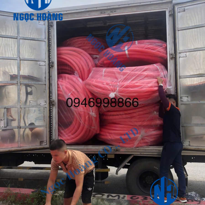 Hình Ảnh Thực tế