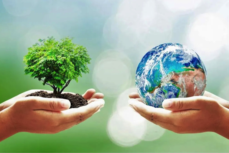 màng PE có chịu thuế môi trường