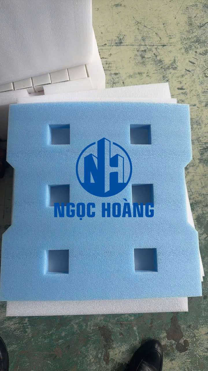 Sản Xuất Và Gia Công Khay Xốp Định Hình Ở KCN Mỹ Phước 1