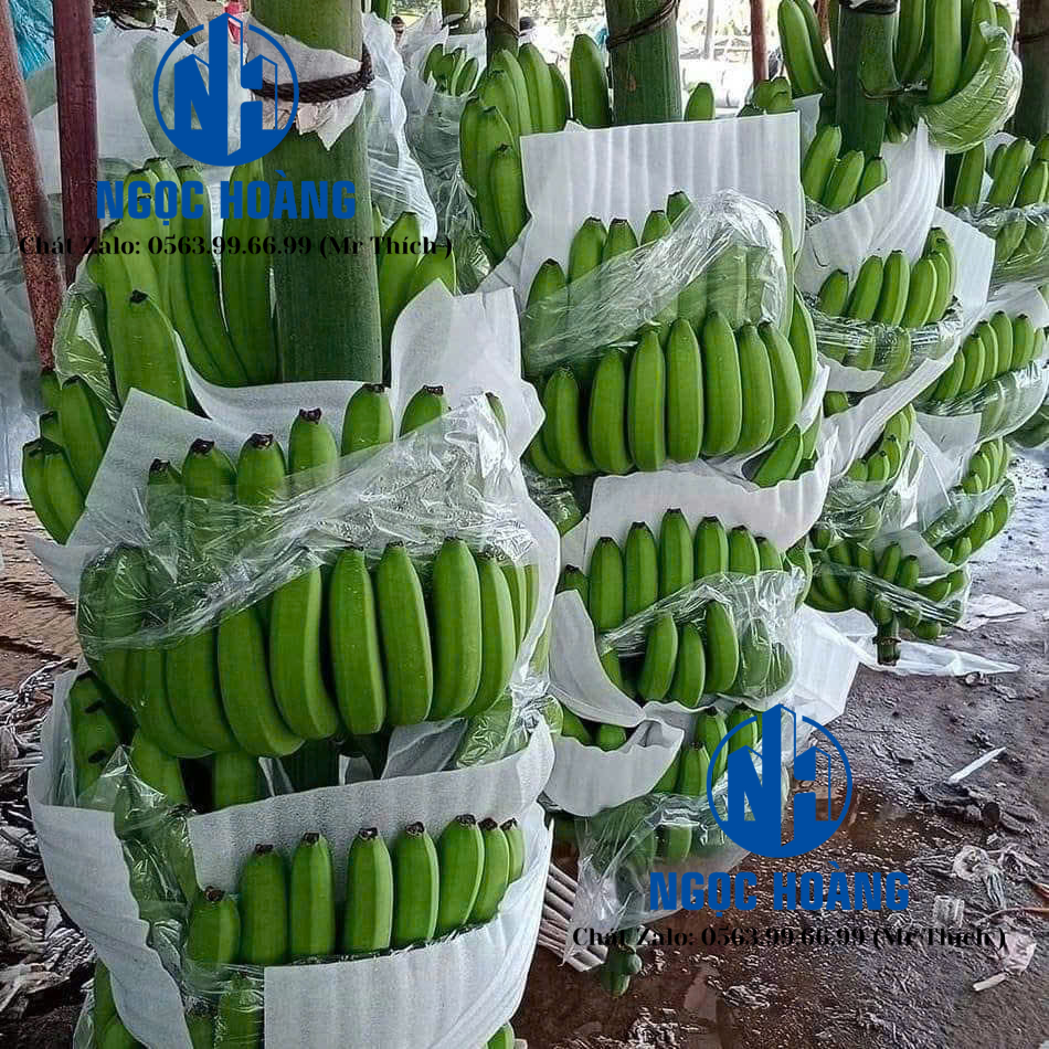 Nhà Sản Xuất Mút Xốp Pe Foam Tại KCN AGTEX Long Bình