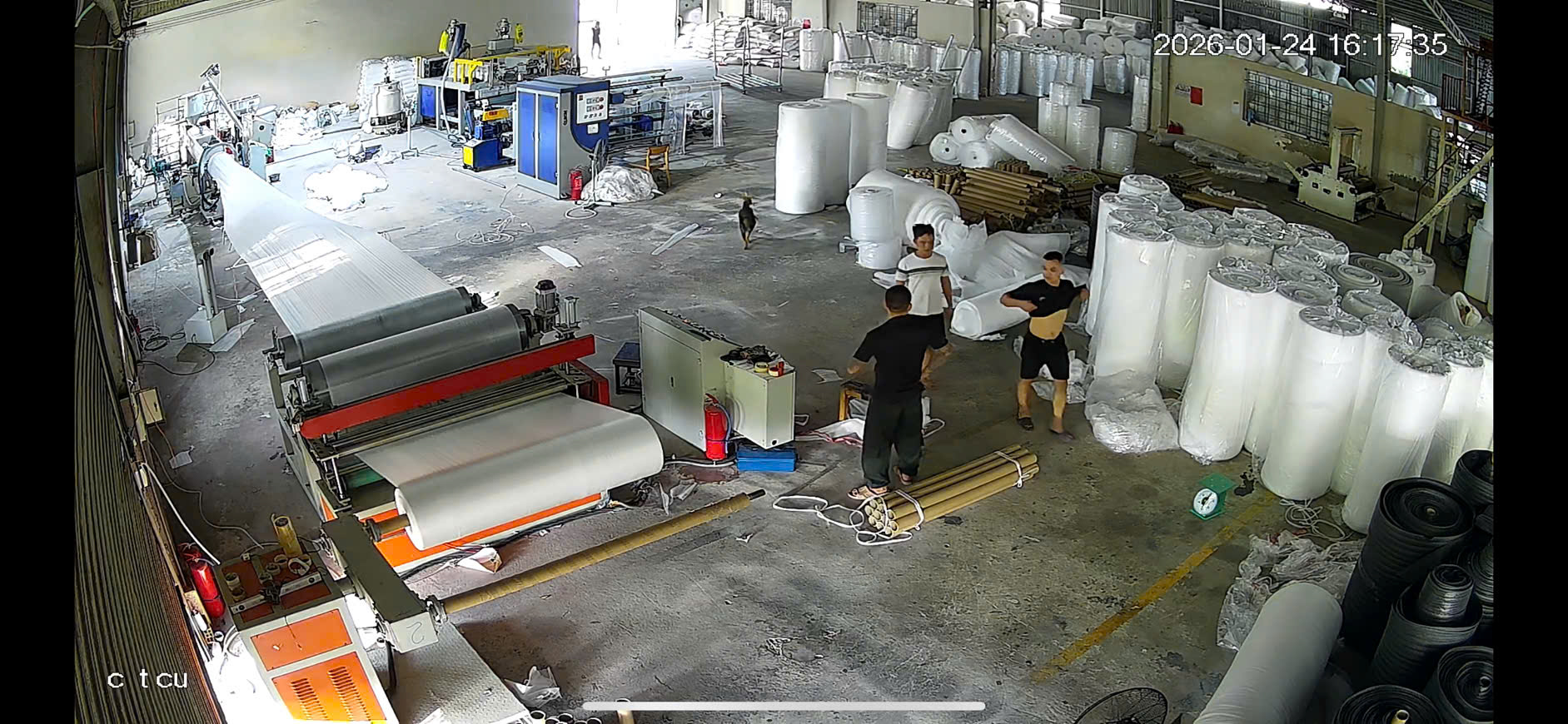 sốc foam trắng đen đỏ xanh vàng